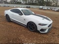 2021 Ford Mustang — photo 1 of 18 | VIN 1FA6P8R05M5555077