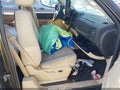 Photo 5 of 10 — 2007 GMC Sierra 1500