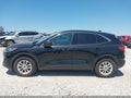 Photo 14 of 17 — 2020 Ford Escape