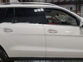 2019 Mercedes-Benz GLS-Class — photo 13 of 16 | VIN 4JGDF6EE8KB239273