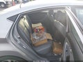 2015 Hyundai Elantra — photo 8 of 10 | VIN KMHDH4AE4FU326358