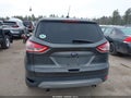 Photo 12 of 12 — 2015 Ford Escape