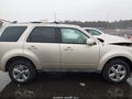 Photo 13 of 16 — 2011 Ford Escape