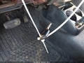 Photo 11 of 12 — 2002 Ford Ranger