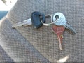 Photo 11 of 18 — 1987 Nissan D21