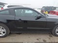 2014 Ford Mustang — photo 13 of 16 | VIN 1ZVBP8AM1E5333917