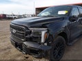 2025 Ford F-150 — photo 6 of 16 | VIN 1FTFW5L88SFB27280