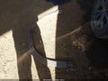 2022 Volkswagen Tiguan — photo 12 of 17 | VIN 3VV3B7AXXNM060854