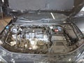 Photo 10 of 16 — 2023 Honda Civic