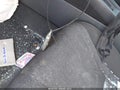 Photo 11 of 16 — 2025 Honda Accord