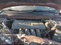 Photo 10 of 17 — 2004 Toyota Corolla