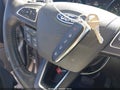 Photo 11 of 17 — 2019 Ford Escape