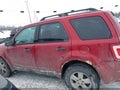 2010 Ford Escape — photo 15 of 17 | VIN 1FMCU9D75AKC91027