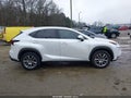Photo 13 of 17 — 2016 Lexus NX 200t
