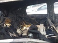 2025 Hyundai Tucson Hybrid — photo 8 of 15 | VIN KM8JBDD10SU255912