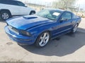 2007 Ford Mustang — photo 2 of 16 | VIN 1ZVFT80N375314442