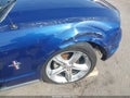 2007 Ford Mustang — photo 6 of 16 | VIN 1ZVFT80N375314442