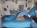 2020 Volvo VNL — photo 13 of 20 | VIN 4V4NC9EH7LN231151