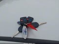 Photo 11 of 12 — 2011 Ford Focus