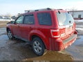 2010 Ford Escape — photo 3 of 15 | VIN 1FMCU0E75AKA12024