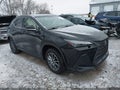 2022 Lexus NX 250 — photo 1 of 16 | VIN JTJADCEZ4N5000222