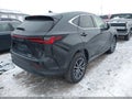 2022 Lexus NX 250 — photo 4 of 16 | VIN JTJADCEZ4N5000222