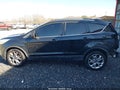 Photo 14 of 16 — 2014 Ford Escape