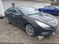 Photo 1 of 17 — 2013 Hyundai Sonata