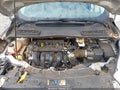Photo 10 of 11 — 2017 Ford Escape
