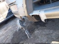 2002 Toyota 4Runner — photo 6 of 13 | VIN JT3HN87R829077614