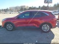Photo 14 of 17 — 2020 Ford Escape