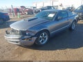 2006 Ford Mustang — photo 2 of 16 | VIN 1ZVFT80N465117679