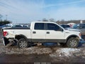 Photo 6 of 16 — 2010 Ford F-150