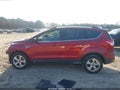 Photo 15 of 17 — 2015 Ford Escape