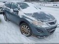 2010 Mazda CX-9 — photo 1 of 10 | VIN JM3TB3MV5A0213274