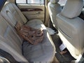 Photo 8 of 11 — 2009 Mercury Grand Marquis
