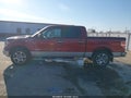 Photo 14 of 16 — 2013 Ford F-150