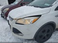 Photo 6 of 12 — 2014 Ford Escape
