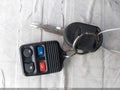 2005 Ford Mustang — photo 11 of 17 | VIN 1ZVFT80N555130293