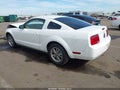 2005 Ford Mustang — photo 3 of 17 | VIN 1ZVFT80N555130293