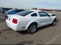 2005 Ford Mustang — photo 4 of 17 | VIN 1ZVFT80N555130293