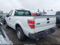 2013 Ford F-150 — photo 3 of 15 | VIN 1FTMF1CM0DFE08313
