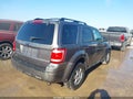 Photo 4 of 16 — 2009 Ford Escape