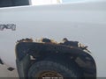 2011 Chevrolet Silverado 1500 — photo 6 of 16 | VIN 3GCPKSE38BG164523