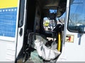 Photo 6 of 17 — 2016 Freightliner Chassis
