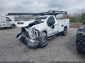 2020 Chevrolet Silverado 2500 — photo 2 of 16 | VIN 1GC0WLE73LF287664