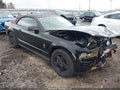 Photo 1 of 16 — 2008 Ford Mustang