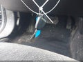 2013 Chrysler 200 — photo 11 of 14 | VIN 1C3CCBAG6DN738281