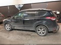 Photo 14 of 18 — 2016 Ford Escape