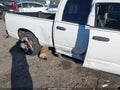 Photo 16 of 19 — 2003 Dodge Ram 1500